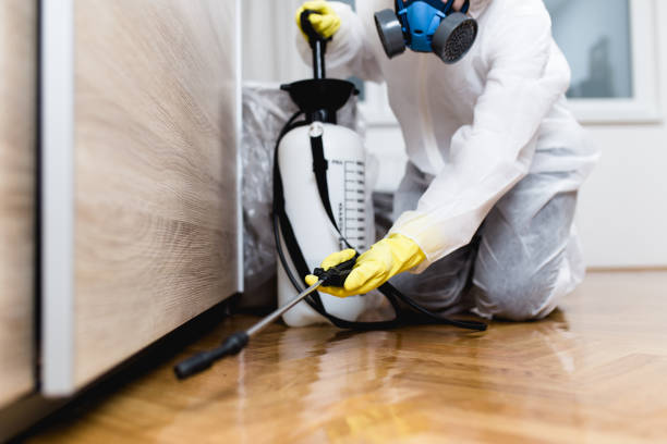 Best Residential Pest Control  in Wadena, MN