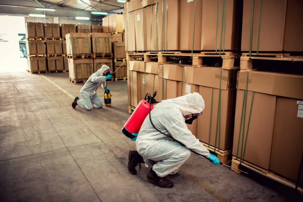 Wasp Removal Services in Wadena, MN