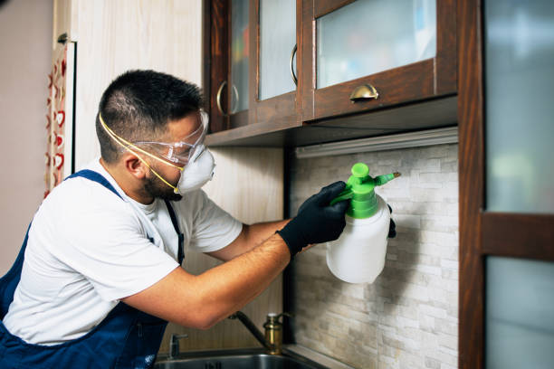 Best Pest Removal Services  in Wadena, MN