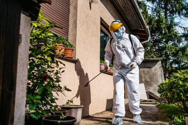 Best Flea Control Services  in Wadena, MN