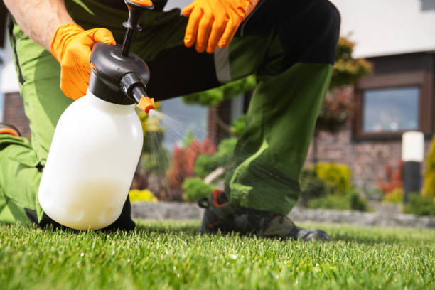 Best Wildlife Control Services  in Wadena, MN