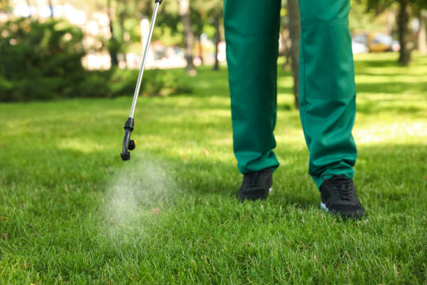 Best Affordable Pest Control Services  in Wadena, MN