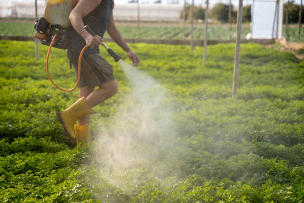 Best Best Pest Control Companies  in Wadena, MN