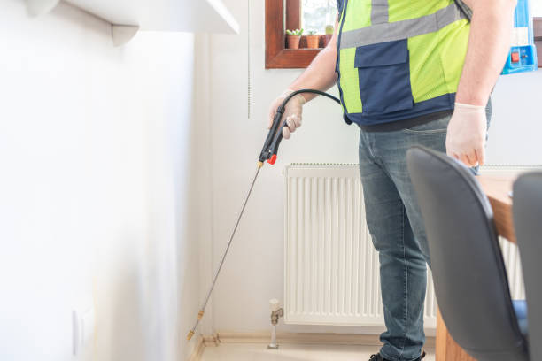 Best Ant Control Services  in Wadena, MN