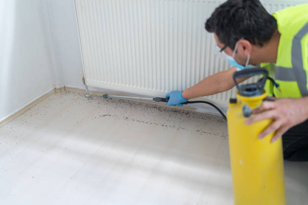 Best Pest Inspection Near Me  in Wadena, MN